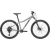 VTT Cannondale Femme Trail 5 Gris