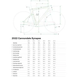Vélo Route Cannondale Synapse Carbon 2 RLE Grey 15 Vélo Route Cannondale Synapse Carbon 2 RLE Grey -SRAM Soldes gomtrie synapse 2022 700x700 1